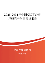 2025-2031年中國(guó)Q版手辦市場(chǎng)研究與前景分析報(bào)告