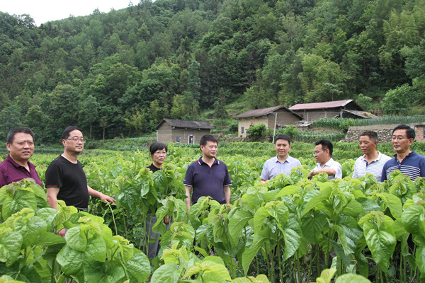 安康市商務(wù)局領(lǐng)導(dǎo)來我公司調(diào)研春蠶收購及扶貧點蠶?；亟ㄔO(shè)情況
